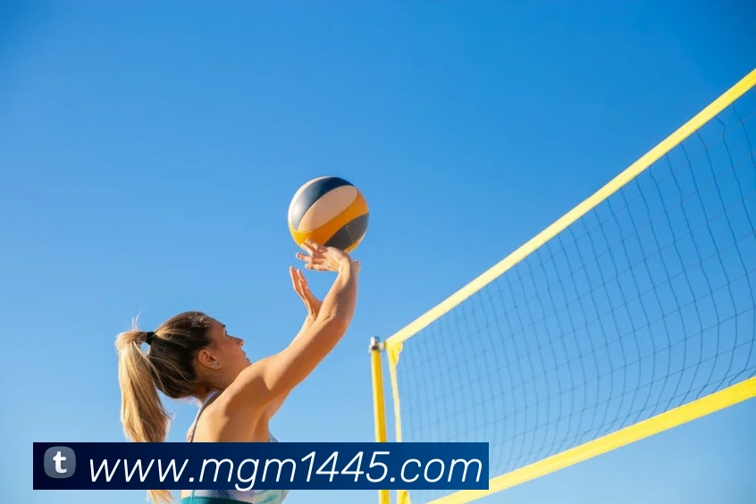 美高梅官网首页服务体系